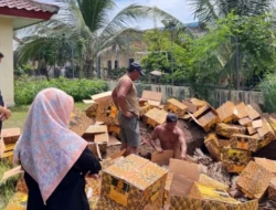 KKP Musnahkan 796 Kg Kulit Hiu dan Pari Ilegal Milik Perusahaan Asing di Banyuwangi