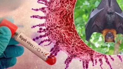 Merebak di India, Kemenkes Terbitkan Surat Edaran Virus Nipah, Masyarakat Indonesia Diminta Waspada