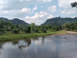 Desa Lubuk Karak: Harmoni Alam, Budaya, dan Pemberdayaan Warga Dharmasraya