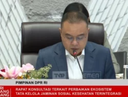 3 Langkah Taktis Dasco Hadapi Krisis Penonaktifan BPJS Kesehatan PBI
