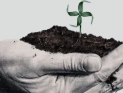 Tembus 3.264 Aduan: Jabar, Sumut, dan Kalteng Jadi Provinsi Paling Rawan Konflik Agraria