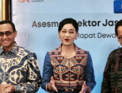 Jadi Ketua OJK Perempuan Pertama, Friderica Widyasari Dewi Janji Pulihkan Stabilitas Sektor Keuangan