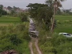 Google Maps Biang Keroknya! Puluhan Mobil Pemudik Nyasar ke Tengah Sawah Karena Cari Pintu Tol