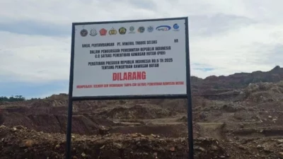 Satgas PKH Segel Tambang Nikel PT Mineral Trobos Milik Bos Maluku United, David Glen Oei