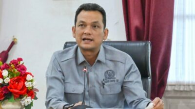 Martin Manurung Sebut RUU PPRT Bakal Atur BPJS hingga Perjanjian Kerja PRT