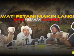 Gawat! Petani Makin Langka, Lahan Pertanian Makin Kecil