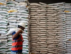 Bapanas Janji 7 Komoditas Pangan Pokok ini Bebas Impor Pada 2026: Telur, Beras Hingga Jagung
