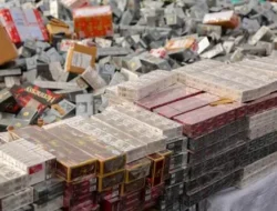Rokok Ilegal Rugikan Negara Rp. 25 Triliub per Tahun, Setara 1,7 Juta Beasiswa KIP dan Kuliah
