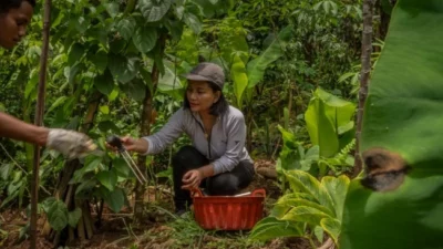 Riset Global Soroti Inovasi Pemanfaatan AI Untuk Pertanian Regeneratif di Indonesia, Bisa Pulihkan Lahan Rusak