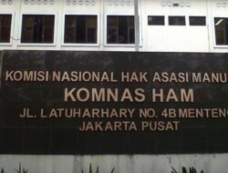Komnas HAM: 12 Warga Sipil Tewas dalam Operasi TNI di Puncak, Papua Tengah