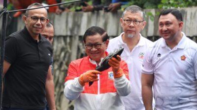 Jaga Ekosistem Sungai, Pemprov Jakarta Tangkap 68 Ribu Ikan Sapu-sapu Seberat 6,98 Ton