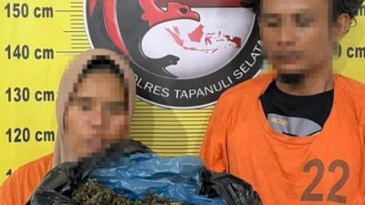 Ngeri! Emak-emak di Tapsel Nekat Selundupkan 3 Kg Ganja Pakai Becak