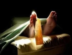 Janda 69 Tahun Meninggal Usai Jadi Korban Penipuan Asmara Online, Uang Rp. 20 Miliar Raib