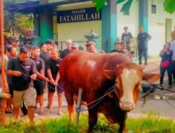 Masjid Fatahillah di Kompleks Rumah Amien Rais Dapat Kiriman Sapi Kurban Berinisial TIW