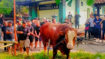 Masjid Fatahillah di Kompleks Rumah Amien Rais Dapat Kiriman Sapi Kurban Berinisial TIW
