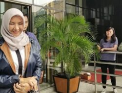 Rita Widyasari: Dari Suap, Gratifikasi dan TPPU Hingga Korporasi Tambang