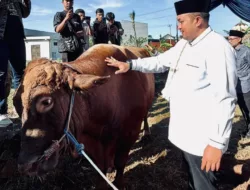 Baranusa Desak BPK dan KPK Audit Dugaan Mark Up Anggaran Rp. 100 Miliar Sapi Kurban Presiden