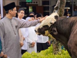 Purbaya Sejajarkan Dirinya Dengan Nabi Yusuf AS: Sama-sama Menteri Keuangan