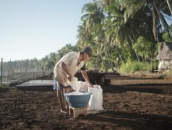 Lewat Desa Sejahtera Astra, Desa Les Bali Sukses Kawinkan Wisata dan Pelestarian Alam