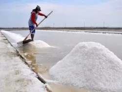 RI akan Swasembada Garam Industri Melalui Program K-SIGN KKP di Rote Ndao NTT