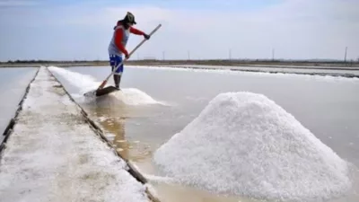 RI akan Swasembada Garam Industri Melalui Program K-SIGN KKP di Rote Ndao NTT