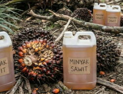 Ichsanuddin Noorsy Nilai Kasus Manipulasi Ekspor Sawit Merebak Bukti Penegakan Hukum Lemah