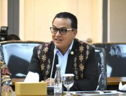 Umbu Rudi Kabunang Dorong Pemerintah Segera Atur Royalti dan Lindungi Hak Cipta Karya Anak Bangsa