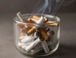 Negara Kantongi Pajak Rp. 2,23 Triliun Dari Rokok Yang Dihisap Anak-anak dan Remaja