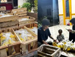 Pedagang Buah di Metro Lampung Pasrah Pesanan Pisang Jutaan Rupiah Untuk MBG Mendadak Batal